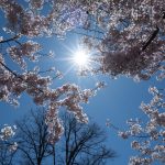 Vremea de 1 Mai: Meteorologii, primele prognoze pentru România