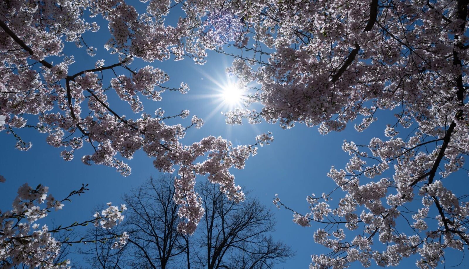 Vremea de 1 Mai: Meteorologii, primele prognoze pentru România