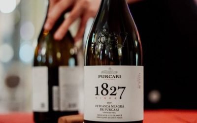 Purcari preia producător viticol cu 33 ha: Afacere pe bursă