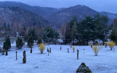 Bihorenii au avut parte de o surpriză de proporții joi dimineață, când în zonele înalte ale județului s-a lăsat o ninsoare ca-n plină iarnă