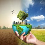 Ziua Pământului 2026: Ce putem face zi de zi pentru planetă