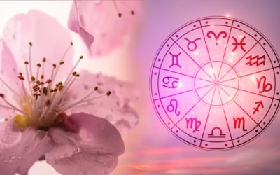 Taurii, gata cu relațiile toxice! Fecioarele strălucesc pe 15 aprilie 2026