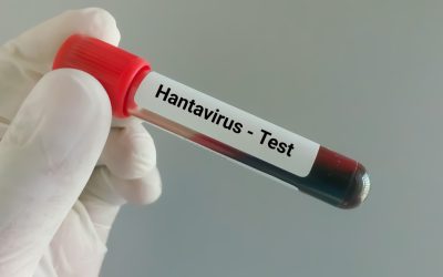 Hantavirus la Arad: Ancheta epidemiologică, medici despre tulpina virusului