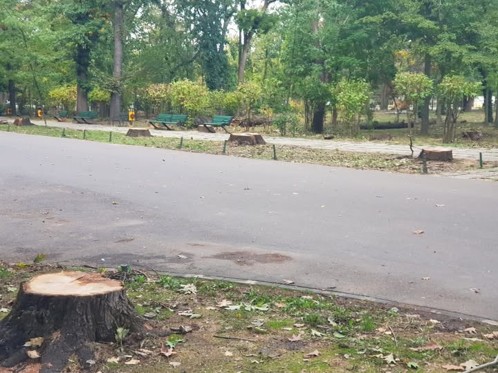Bucureștenii decid viitorul Parcului Herăstrău: Cum vrei să arate, după restaurare?