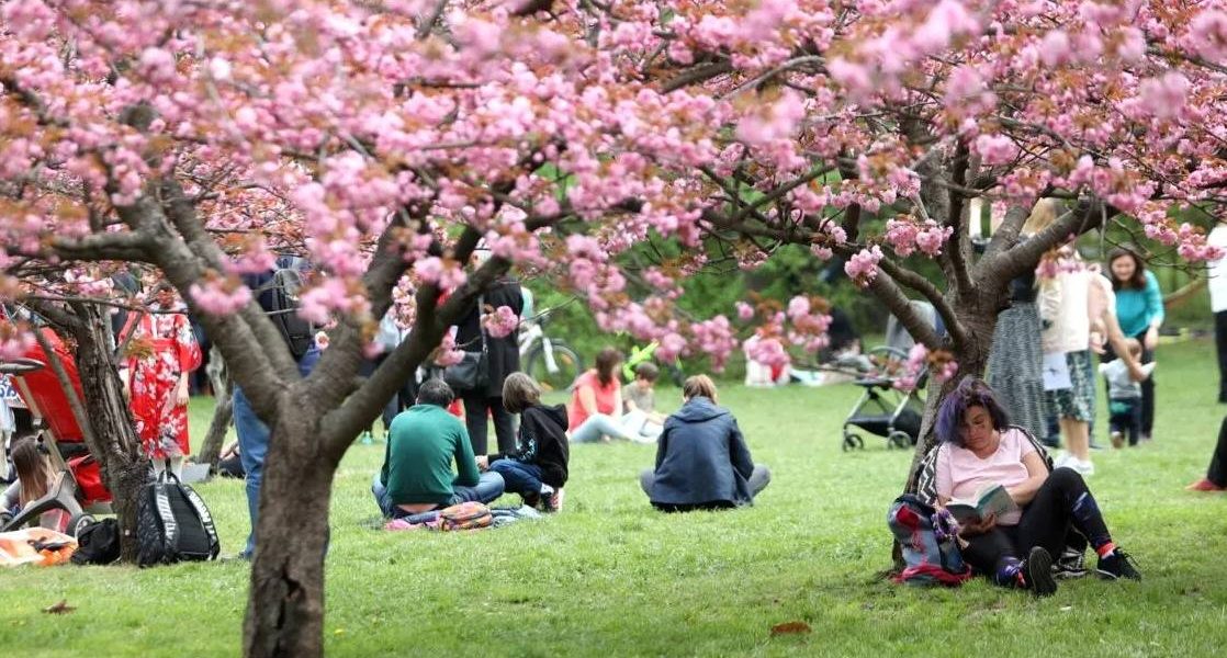 Filme, muzică și spectacole: Distracție pentru cei mici în România