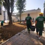Licitație cu dedicație în Sectorul 4: PSD apără achiziția de 1,6 miliarde lei