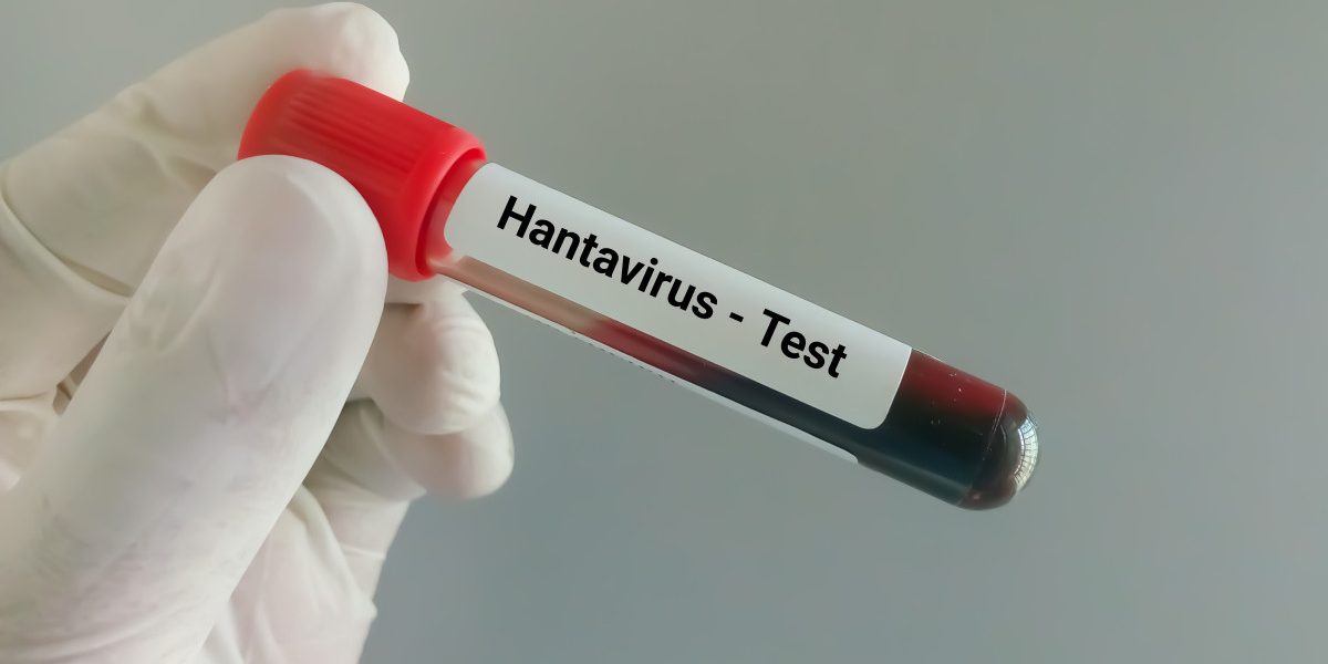 Hantavirusul ucide pe o navă de croazieră: Ce riscuri sunt în România