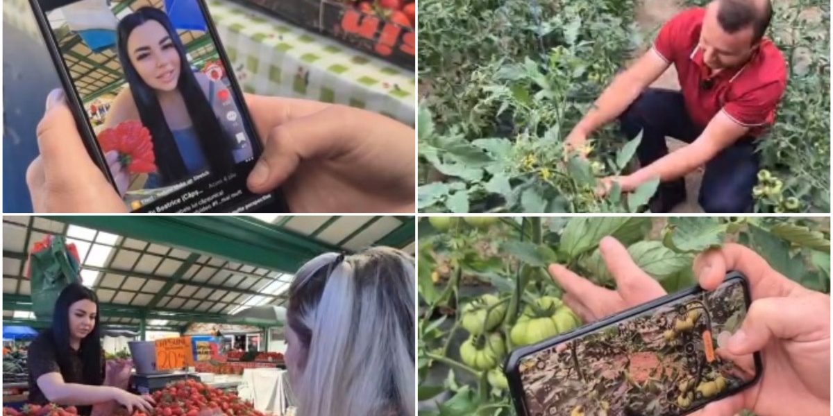 Fructe și legume la „vanzare” pe net: Cum detonează clipurile vânzările