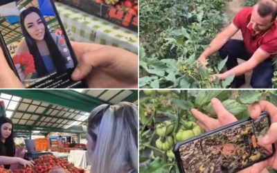 Fructe și legume la „vanzare” pe net: Cum detonează clipurile vânzările