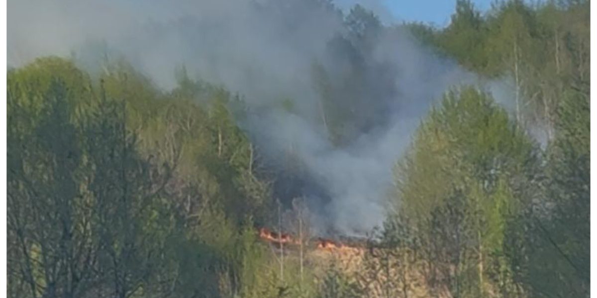 Incendiu devastator în Bistrița-Năsăud: Flăcările au mistuit Valea Anieșului