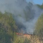 Incendiu devastator în Bistrița-Năsăud: Flăcările au mistuit Valea Anieșului