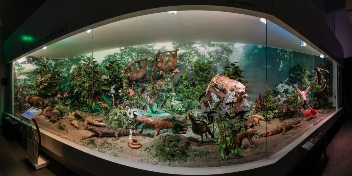Gratuit la Antipa, de Noaptea Muzeelor: Expoziția permanentă deschisă!