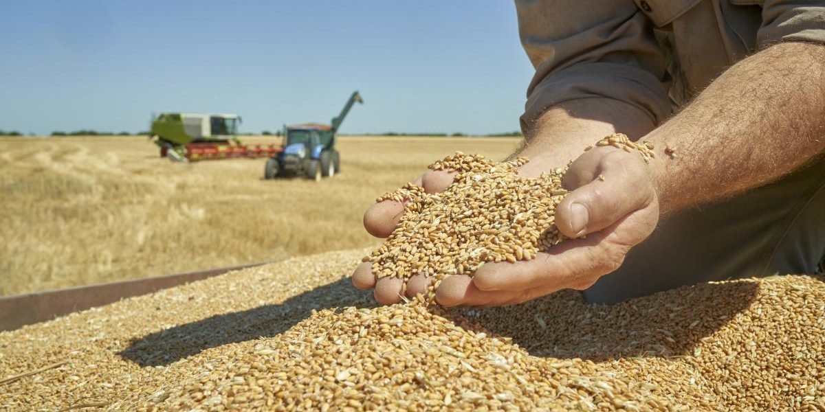 Acordul UE-Mercosur: Ce aduce agricultorilor din România piața de 720 milioane oameni?