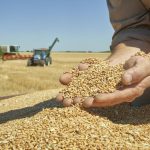Acordul UE-Mercosur: Ce aduce agricultorilor din România piața de 720 milioane oameni?