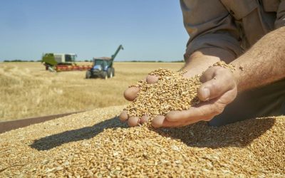 Acordul UE-Mercosur: Ce aduce agricultorilor din România piața de 720 milioane oameni?