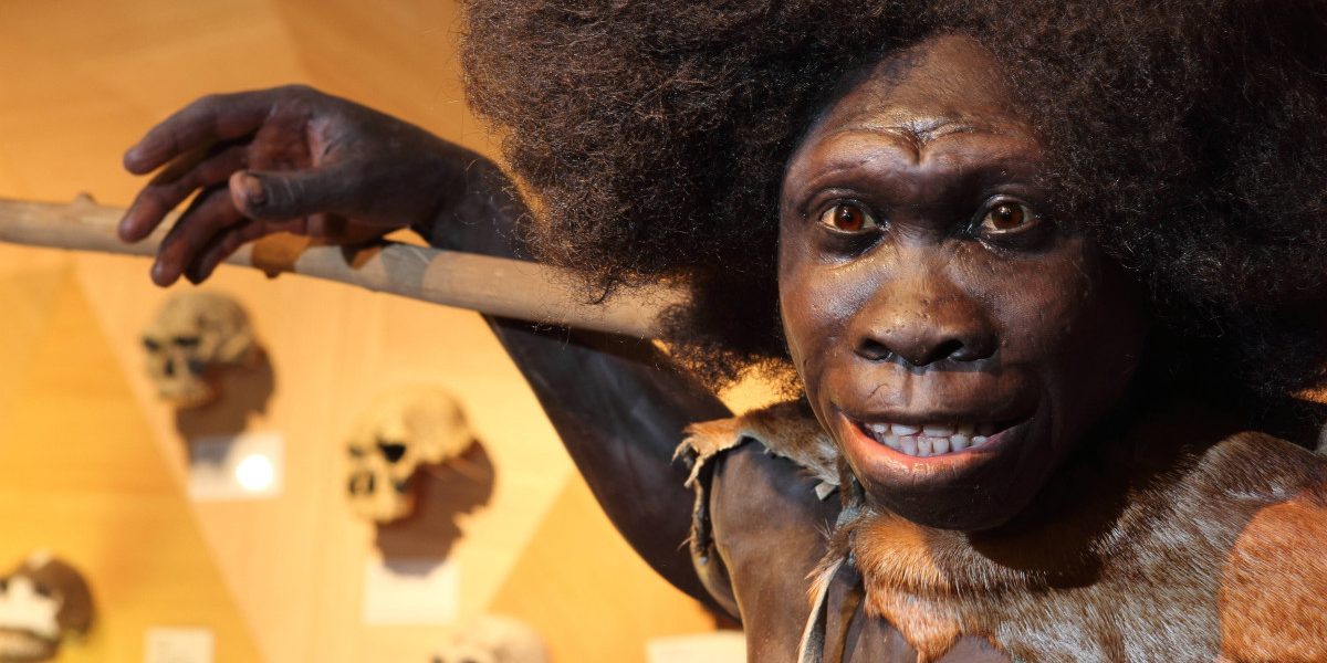 Neanderthalienii, mai aproape de Homo Sapiens: Ce-a dus la dispariție