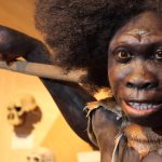Neanderthalienii, mai aproape de Homo Sapiens: Ce-a dus la dispariție