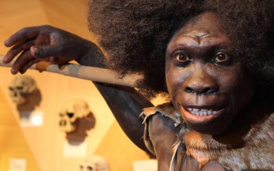 Neanderthalienii, mai aproape de Homo Sapiens: Ce-a dus la dispariție