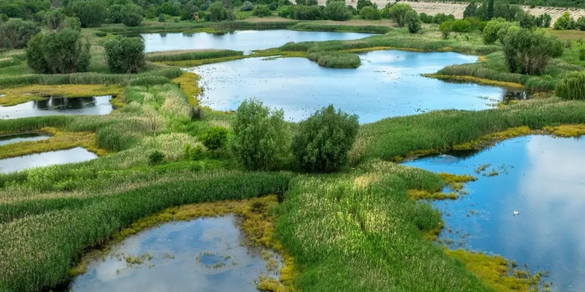 Ziua STIIINȚEI participative în Parcul Văcărești: Eveniment pe 9 Mai!