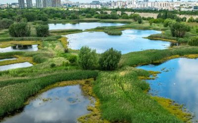 Ziua STIIINȚEI participative în Parcul Văcărești: Eveniment pe 9 Mai!