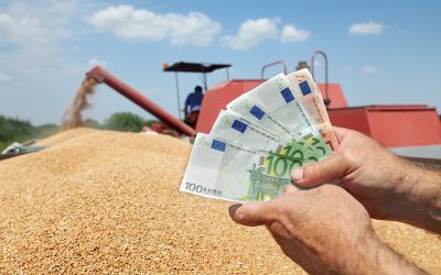APIA deschide ușile sâmbăta: Fermierii pot depune cereri pentru plata în 2026