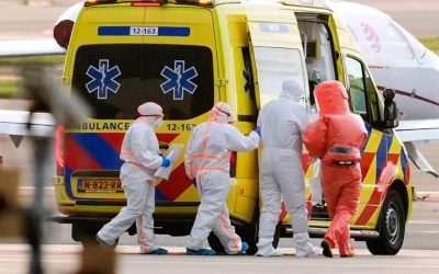 Nu va fi pandemie, spun specialiștii. 10 luni pentru tehnologii anti-hantavirus