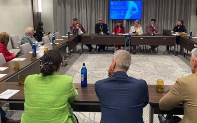 Ecosisteme regionale: Lipsa unui proiect, un diagnostic clar pentru România