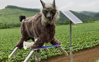 Robotul anti-urs „Monster Wolf”: 4.000$ pentru siguranță în România