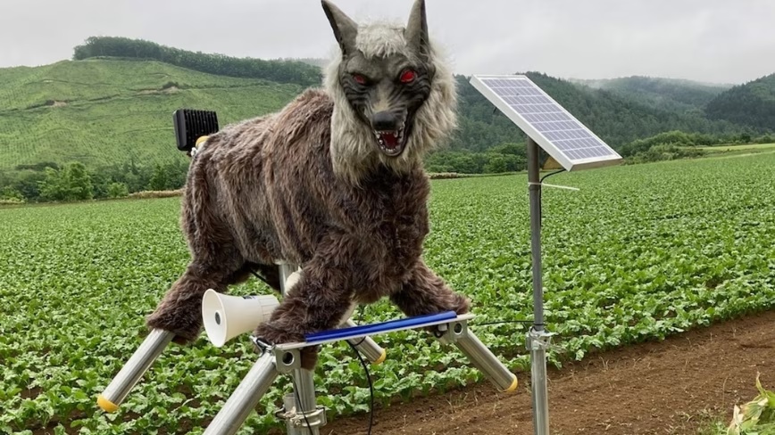 Robotul anti-urs „Monster Wolf”: 4.000$ pentru siguranță în România