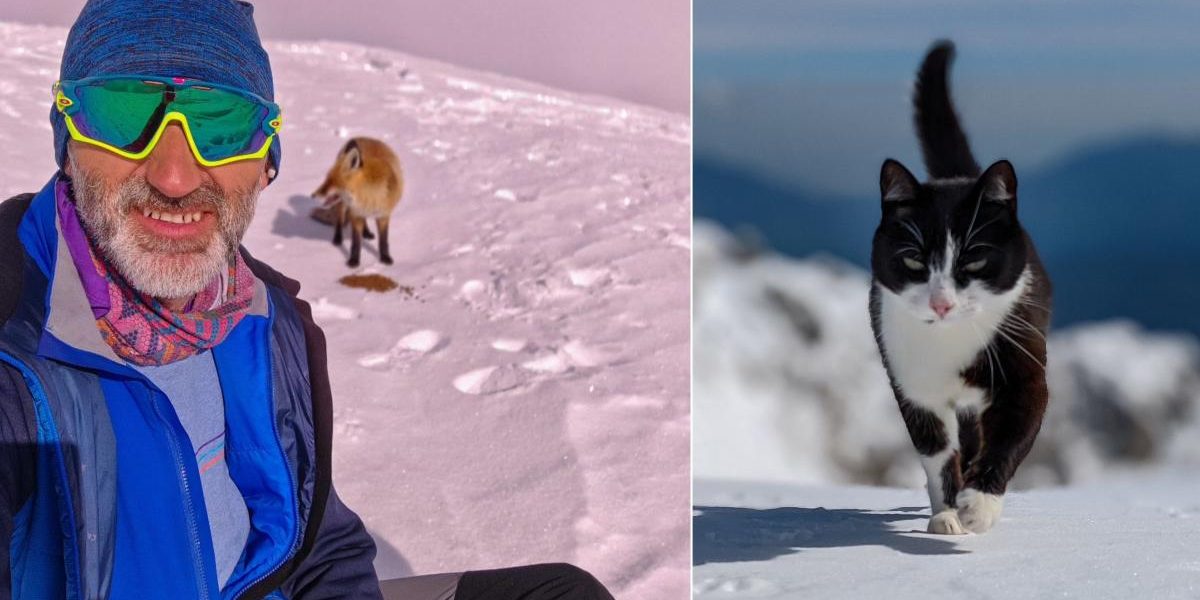 Omul de pe Vârful Omu: Meteorologul, Rodica și Foxy, o viață la peste 2500m