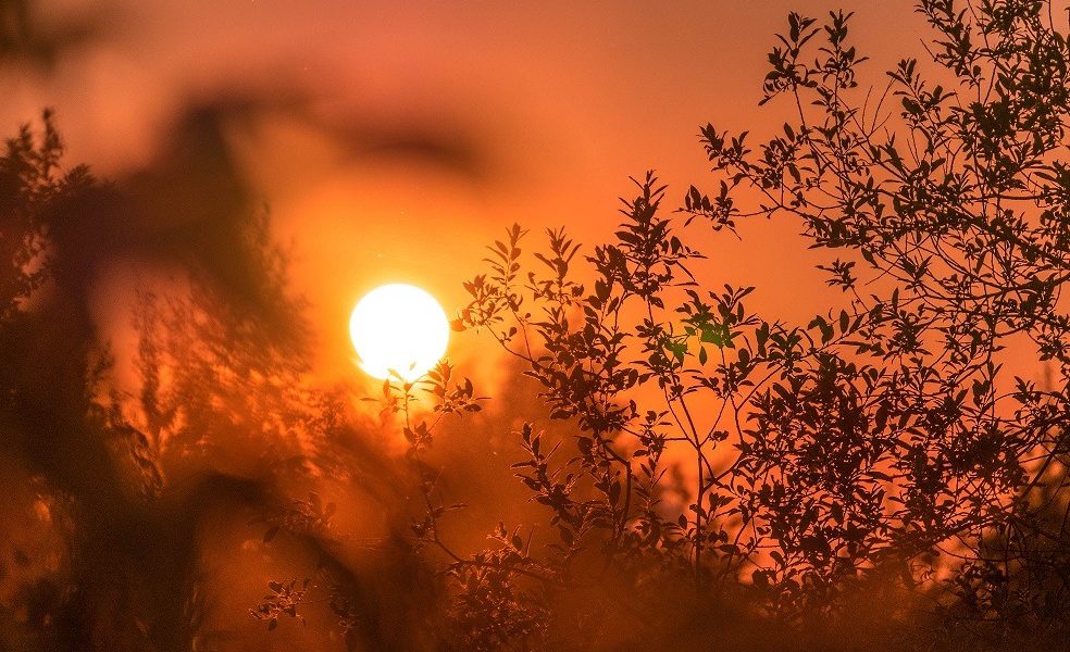 Europa fierbe: 40 de grade Celsius în prag, El Nino nu e de vină, deocamdată
