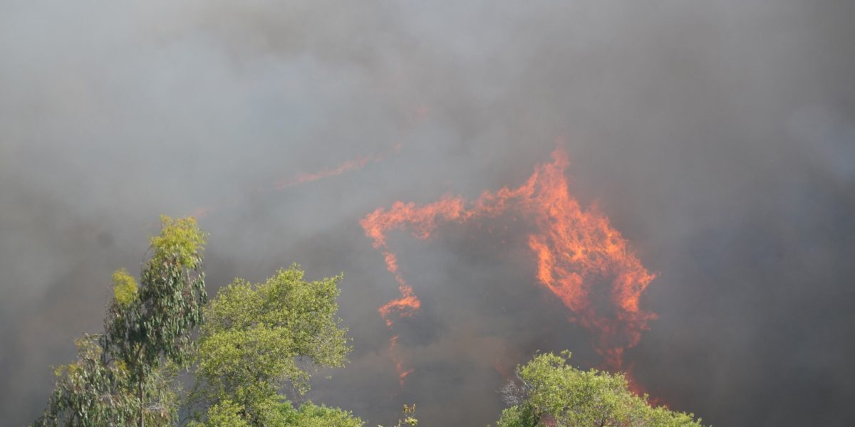 Incendiu uriaș în Spania: Peste 300 de hectare arse, evacuări în masă
