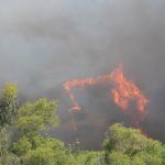Incendiu uriaș în Spania: Peste 300 de hectare arse, evacuări în masă