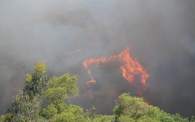 Incendiu uriaș în Spania: Peste 300 de hectare arse, evacuări în masă