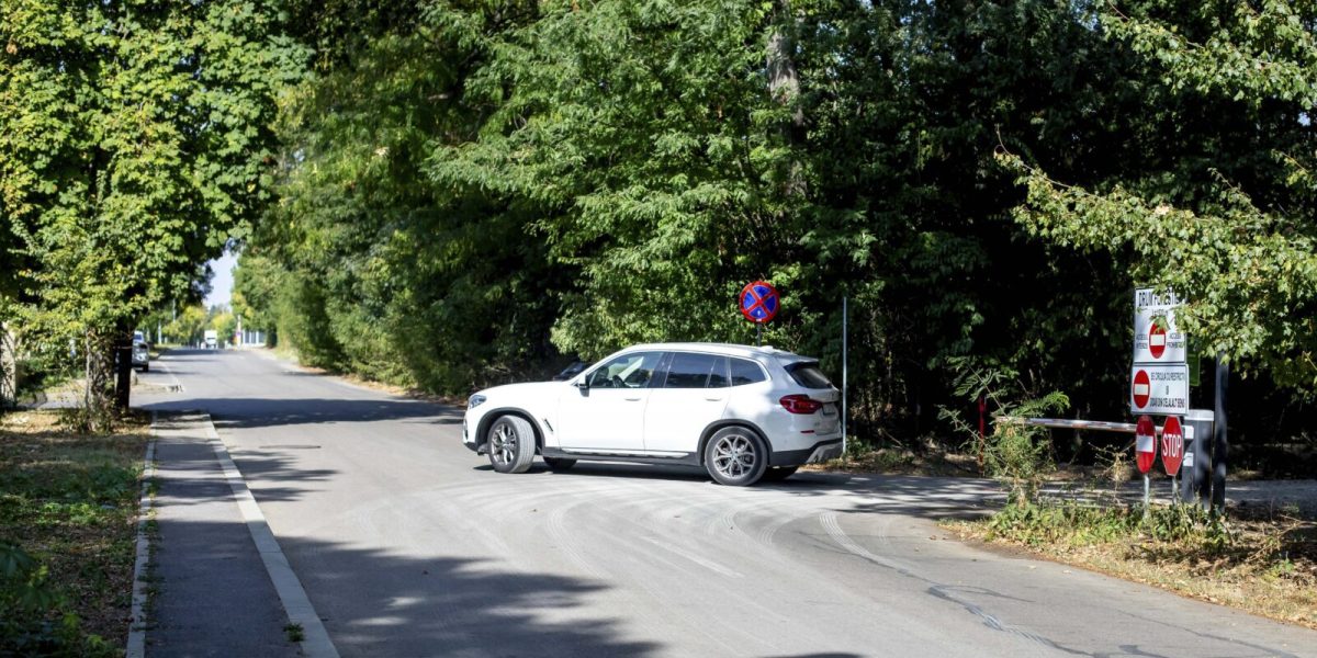 Greenfield cere deschiderea drumului prin Pădurea Băneasa, Ignorând Școala