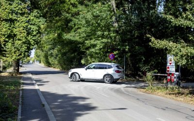 Greenfield cere deschiderea drumului prin Pădurea Băneasa, Ignorând Școala