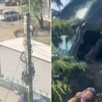 Șoferul de TIR lovit de poliție: „Mi s-a făcut rău”