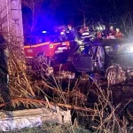 Șofer condamnat la 2 ani cu suspendare după accident DN1