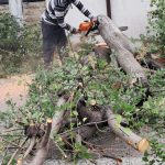 Furtună necruțătoare: Copaci rupți, mașini distruse în 6 județe