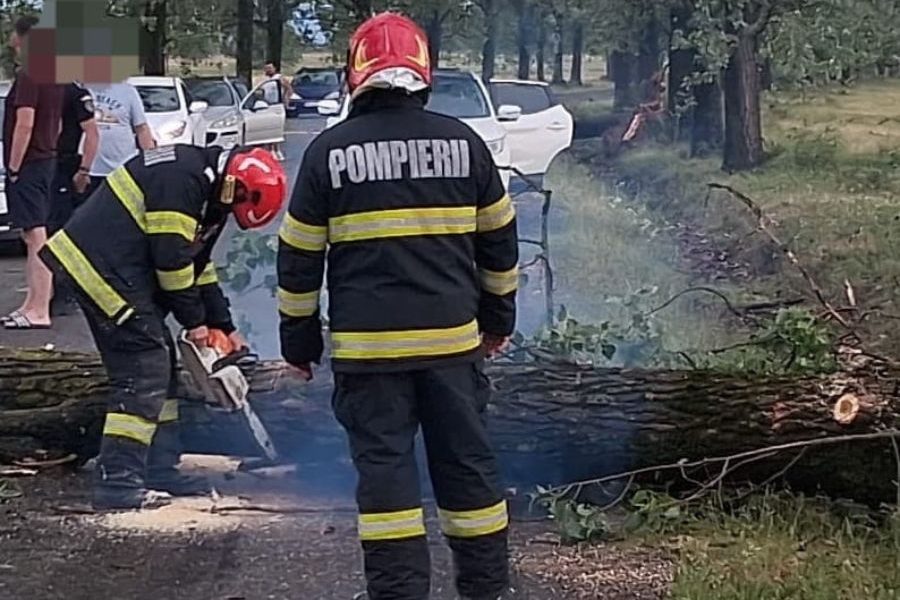 Vânt puternic în Oradea și pe drumul spre Hidișelu, copaci doborâți