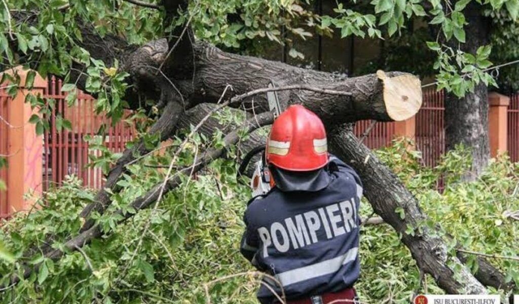 București lovit de furtună: Copac peste mașină, un bărbat mort