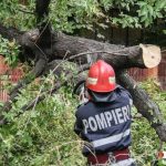 București lovit de furtună: Copac peste mașină, un bărbat mort