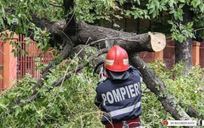 București lovit de furtună: Copac peste mașină, un bărbat mort