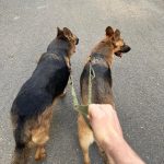Cum ți-ai petrecut ziua de duminică?