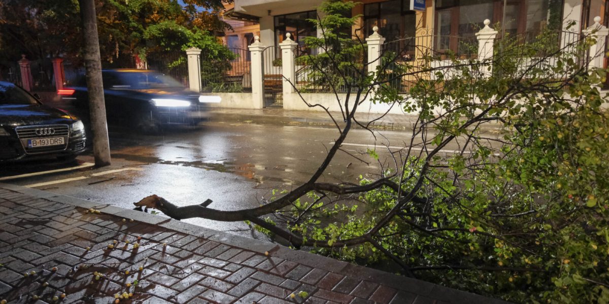 București: Vijelia a dărâmat 101 copaci