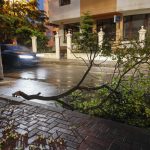 București: Vijelia a dărâmat 101 copaci