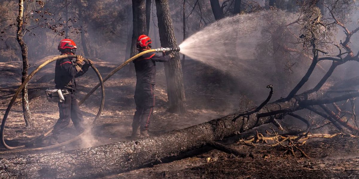 Europa, unite în criză: Gestul care uimește lumea