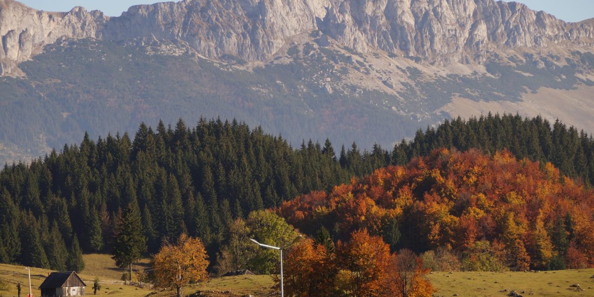 Limbă veche de un secol: Gumuțeasca trăiește în satul românesc