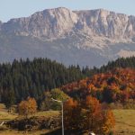 Limbă veche de un secol: Gumuțeasca trăiește în satul românesc