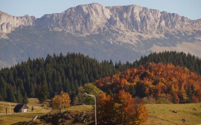 Limbă veche de un secol: Gumuțeasca trăiește în satul românesc